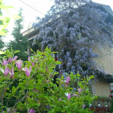 Wisteria Apartment Vranje