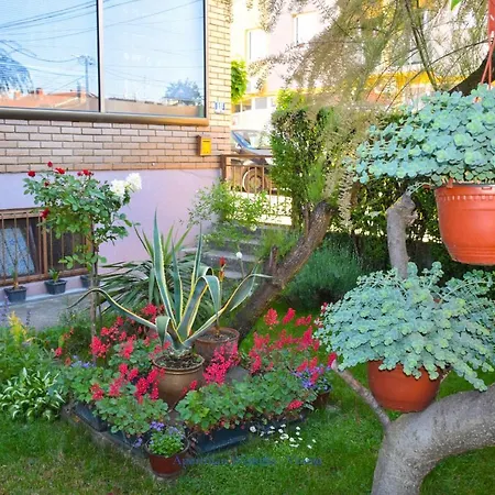 Wisteria Apartment *