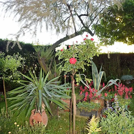 Wisteria Appartement Vranje