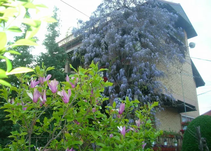 Wisteria Lejlighed Vranje