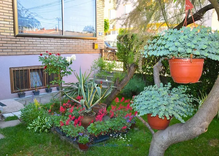 Wisteria Lejlighed *