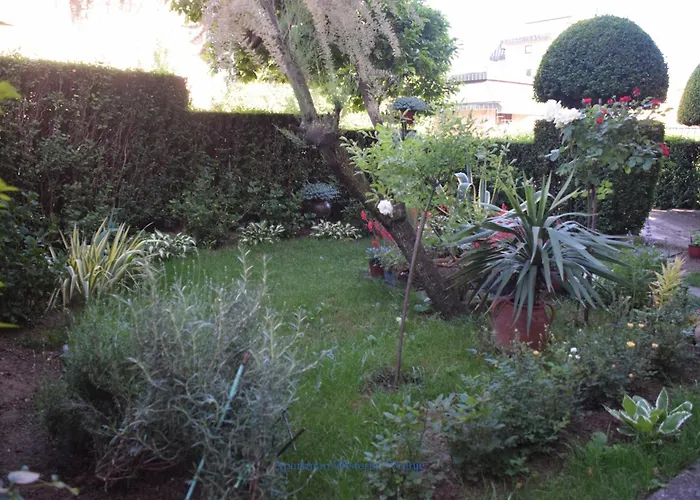 Wisteria Lejlighed Vranje