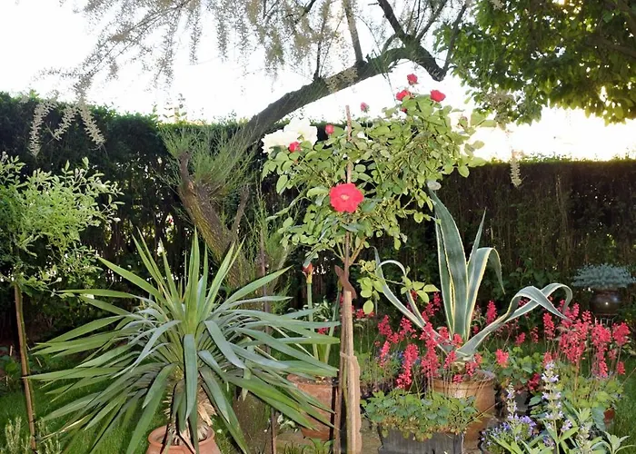 Wisteria Lejlighed Vranje